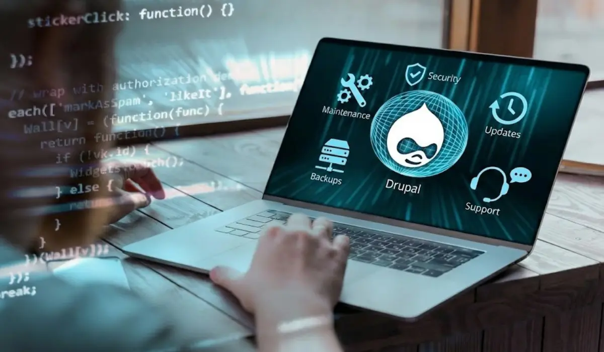 Drupal Maintenance and Support