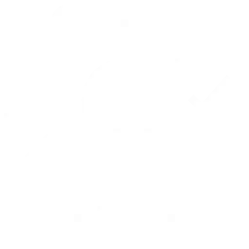 Mobile Accessibility Testing