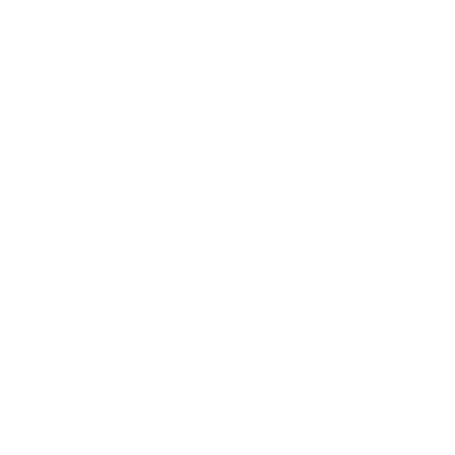 Testing Execution