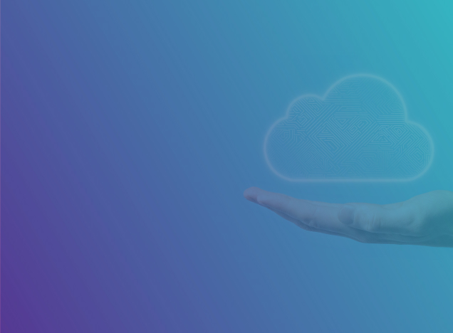 Craft CMS development UK