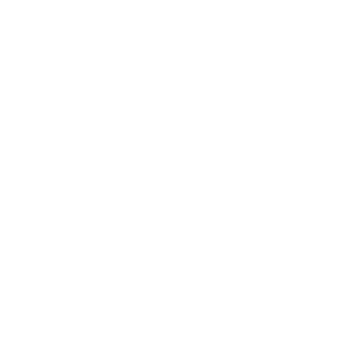 Technology Professionals