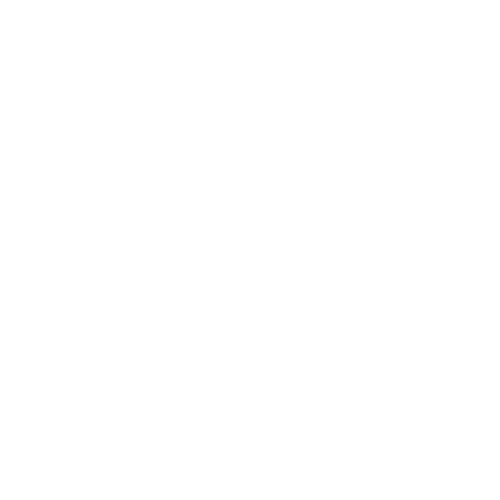 19+ Years of Industry Experience