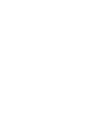 British Red Cross