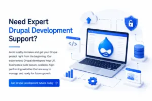Need Expert Drupal Development Support