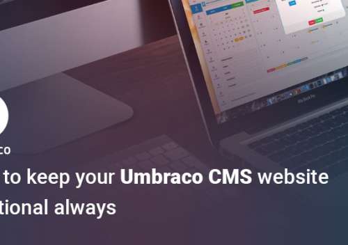 How to Keep Your Umbraco CMS Website Functional Always