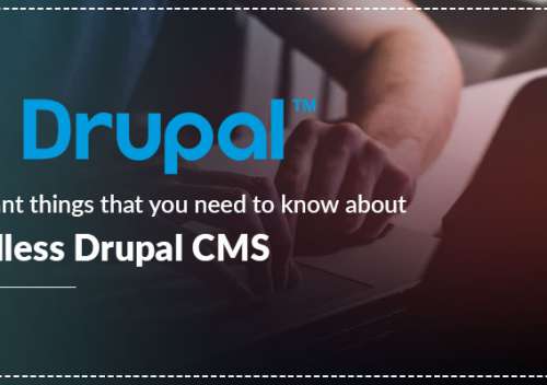Important Things that You Need to Know About Headless Drupal CMS