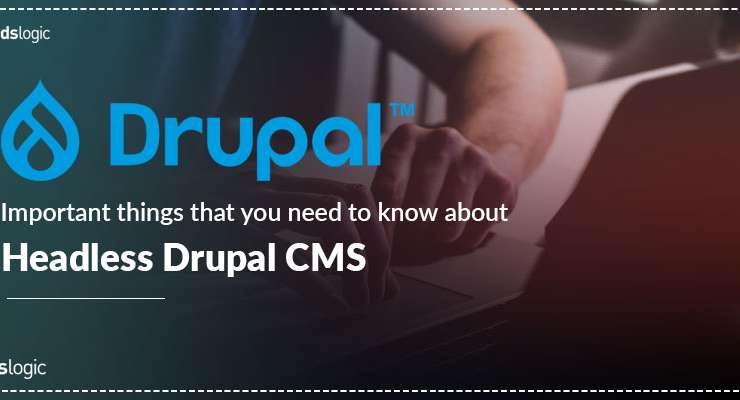 Important Things that You Need to Know About Headless Drupal CMS