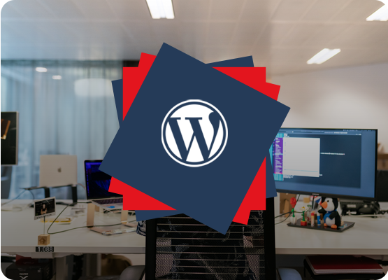 Why Choose IDS Logic for WordPress Development
