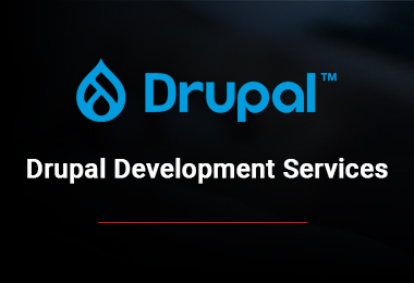 top drupal development company top drupal development company