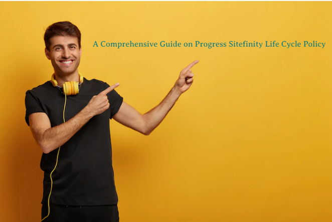 A Comprehensive Guide on Progress Sitefinity Life Cycle Policy
