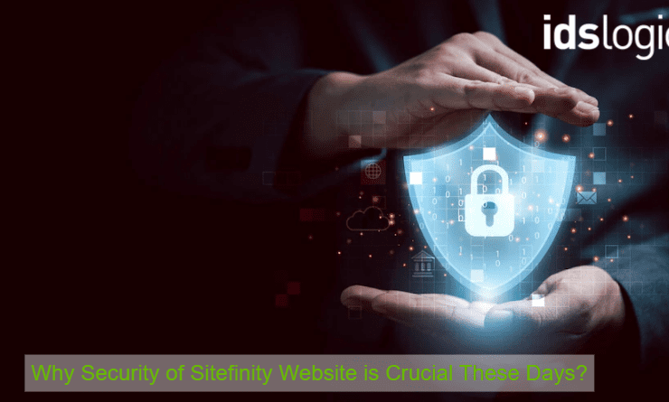 Security of Sitefinity Website