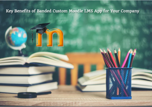Key Benefits of Banded Custom Moodle LMS App for Your Company