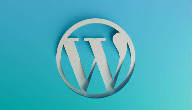 Best practices for WordPress Development