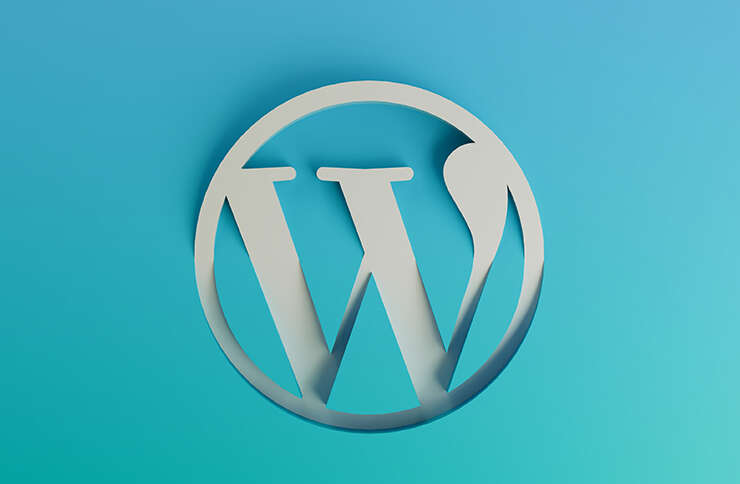 Best practices for WordPress Development