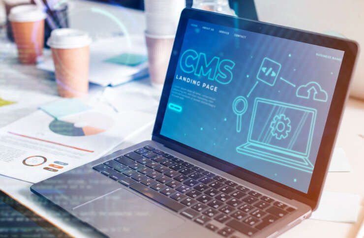 WordPress Maintenance Services