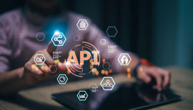 Custom API Development