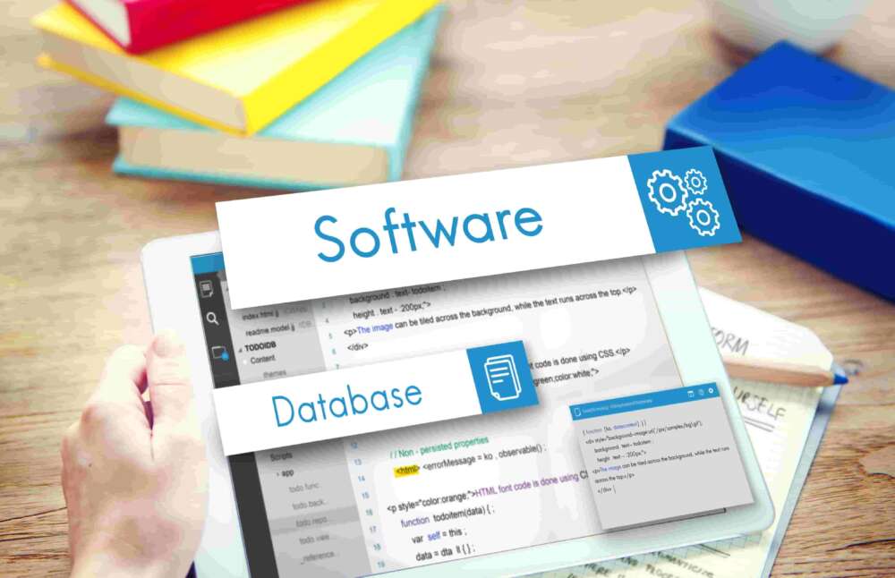 Software consulting