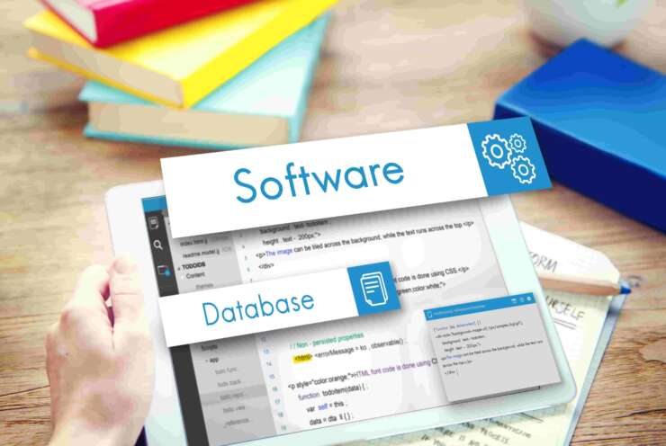Software consulting