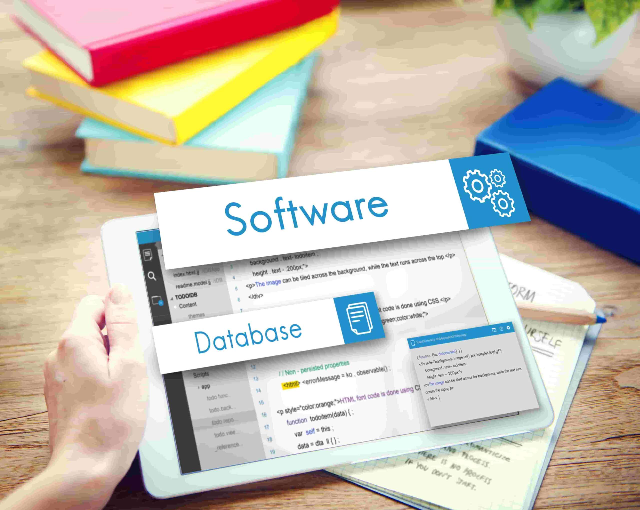 Software consulting