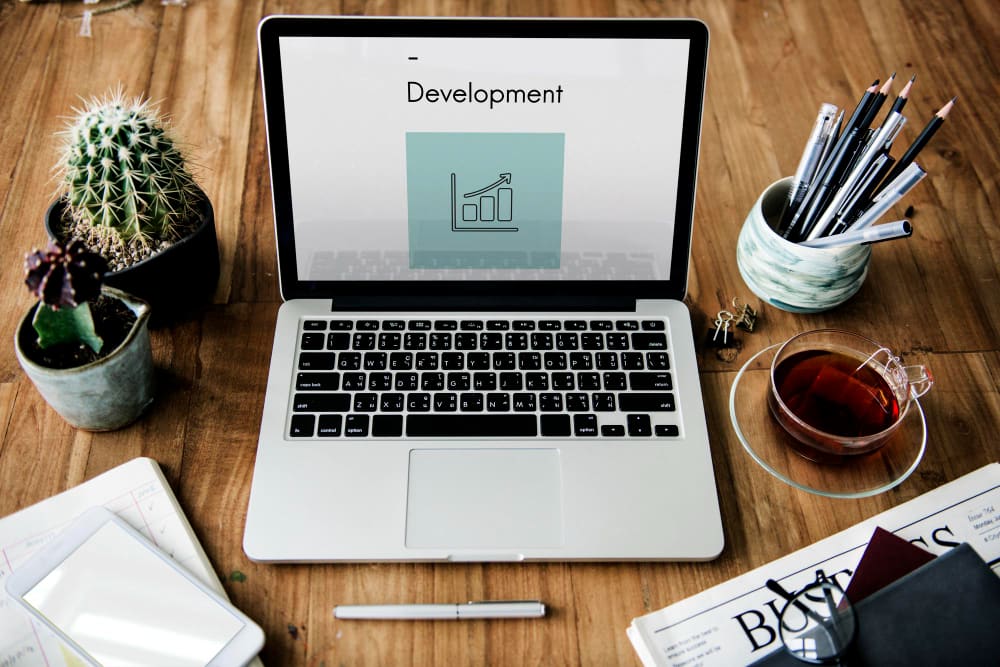 Drupal development services