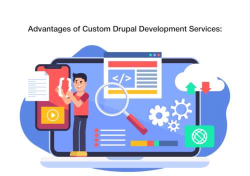 Custom Drupal development Services