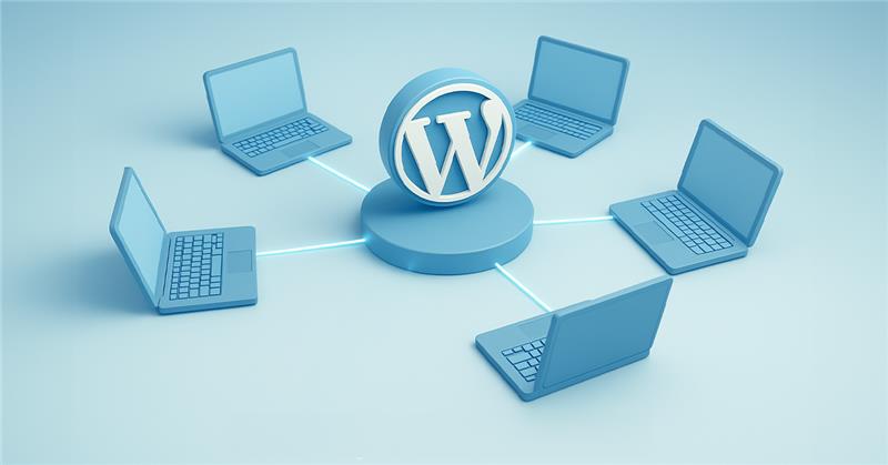 Complete Guide to WordPress Multisite